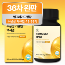 [4개월분] 강황 수용성 커큐민 식약청 HACCP 인증 (대용량), 1개, 120정