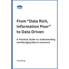 (英文圖書)From "Data Rich Information Poor" to Data Driven: A Practical Guide to Understa... 平裝版, Independently Published, 英文