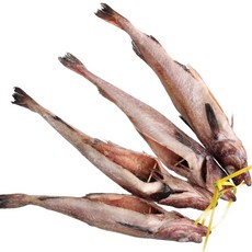 바다받아 반건조 코다리 손질 명태 국내가공 구이 찜, 1개, 중 (1줄4마리) 1-1.5kg