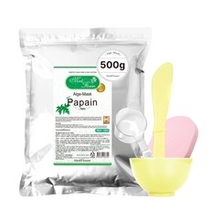 메디플라워 모델링팩 파파인 500g+팩도구 4종세트, 1개