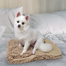 뽀솜이 반려동물 강아지 고양이 전용 타월, 1개