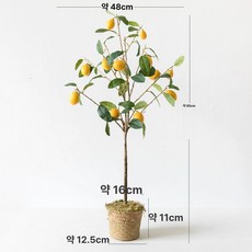 레몬나무 열매 모형 베란다 장식 조경 거실 인테리어, 해초 바구니 레몬 나무 화분