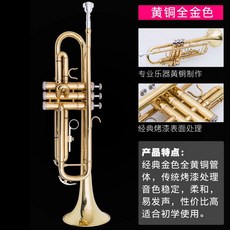트럼펫 악기 연주 공연 YTR2335S 교체 골드 금관 YTR 학교 2335S, 풀 골드, 1개