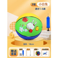 DIU 兒童籃球5號幼兒園專用小學生訓練3-4號男女室內室外耐打藍球皮球, 1個, 3號【小兔揹包】送打氣筒+球針:籃球尺寸