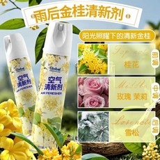 Global Warehouse 空氣清新劑 芳香除臭噴霧, 1個, 大容量380ml【雨後金桂】