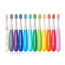 더트웰브 2단계 유아 아기 칫솔 12~36 개월, 비비드, 12개입, 1세트