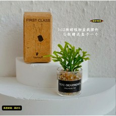 隨草憶境 （8款玻璃盒裝）迷你仿真綠植盆栽 K149 娃娃屋1:12袖珍微縮食玩微景觀模型, 1個, G款（黃砂石款，盒裝）