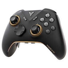 飛智 黑武士5 PRO 競技精英手把, 1個, 全新原裝