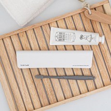 리앤쿡 휴대용 UVC 칫솔살균기 3분 살균 C타입 건전지겸용 분리형, 그레이, LC150