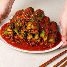 국산 갓 담근 오이소박이 해썹인증 가정용 오이김치, 1박스, 1kg