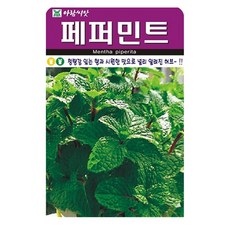 아람종묘 허브 페퍼민트 씨앗, 1개