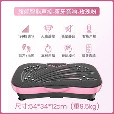 덜덜이 쉐이크보드 바이브피트 코어운동기구 가벼운 홈트, 플래그십 APP 로즈 핑크 199단계, 기본 모델명/품번