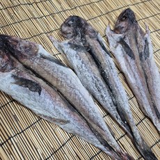 특대 반건조 활복 명태 코다리 50cm 900g 2미, 1개, 900g(수분10%미만)