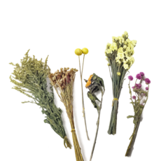 懶懶喵 造景花束 乾燥花 倉鼠籠 夏季除臭裝飾, 1個, 夏日盛語, 80g