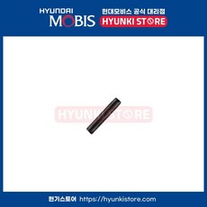 핀인서트 키 (819262L000), 1개