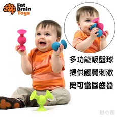 童心園 Fat Brain Toys 觸覺吸盤球 - 多功能觸覺刺激玩具 托育/托嬰/幼兒園適用, 1個
