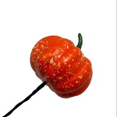 재밌는 자동차 안테나볼 햄버거 핫도그 안테나 악세사리 모닝 레이 스파크 익스테리어, 14. 호박 (안테나X)