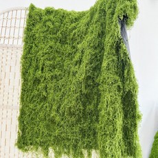臺灣熱銷 仿真苔蘚草坪綠化景觀青苔草皮水陸缸鋪麵植物牆永生水苔盆景盆栽, 片狀 淺綠色50厘米長50厘米寬, 1個