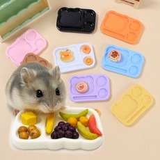 햄스터 곰돌이 식판 소동물 간식그릇, 1개, 화이트