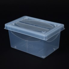 레파즈 게코케이지(대), 투명, 1개