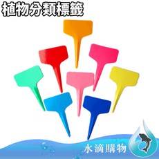 【台灣出貨】T字植物名牌 多肉植物名牌 植物名牌 花牌 標籤 水滴購物, 桃紅