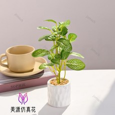 仿真綠植小盆栽 仿真綠蘿 芋葉 爬山虎 仿真植物盆景 辦公室綠植 假綠植 客廳書房假綠植擺件辦公桌面裝飾品, 4646   仿真綠植小盆栽（陶瓷花盆）, 1個