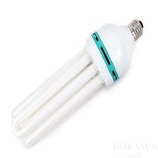 주광색램프 55W 삼파장조명 전구조명 깔끔한조명, 주광색(형광등색) E39