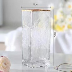 居家用品 I4N 創意加厚描金玻璃花瓶 透明方口擺件 輕奢風格藝術擺品 母親節禮物, 8*20CM
