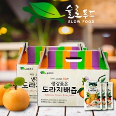 슬로푸드 생강품은 도라지 배즙 30p, 100ml, 30개