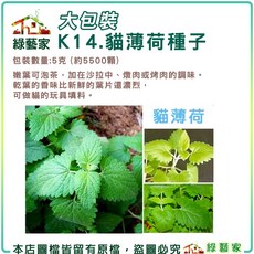 綠藝家 貓薄荷種子 大包裝 5克 (約5500顆) 香草種子, 1個