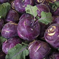 최상급 제주 자색 콜라비 프리미엄 산지직송 아삭한 채소 2kg 3kg 5kg 10kg, 2개