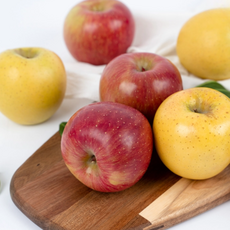 프리미엄 황금사과 + 부사 선물세트 고당도 4kg, 1박스