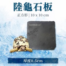 諾摩 NOMO 陸龜石板 爬蟲磨甲石 餵食石片 保暖石 NM-1010, 1個, NM-1010 cm