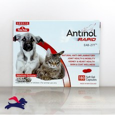)당일발송( (최신) 베츠페츠 안티놀 래피드 180정 강아지 고양이 천연 관절영양제, 뼈/관절강화, 1개