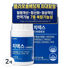 치덱스 건강기능식품 징코 헤스페리딘 유산균 혈행개선 영양제 은행잎 추출물, 1개, 60정