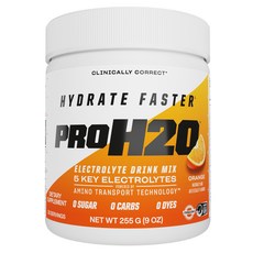 피브이엘 Hydrate Faster PROH2O Electrolyte Drink Mix Orange, 255g, 1개