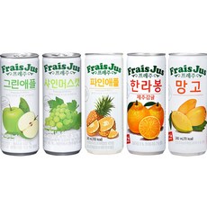 프레주 2박스 골라담기 한라봉 복숭아 파인애플 망고 그린애플 샤인머스캣, 한라봉30개+복숭아30개, 60개, 240ml