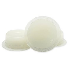 Pet's Handler 엎어짐방지 넓은용기 곤충먹이용 젤리, 1팩, 고단백 프로틴 16g*40개