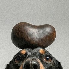 반려비책 펫뜸바 강아지 천연비누 저자극 한방, 1개, 100g