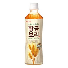 롯데 오늘의차 황금보리, 500ml, 12개