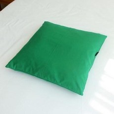 아트박스/샤이닝홈 팬톤 소파 방석(솜포함) 50x50 I그린 2P, 단품없음, 단품없음