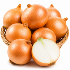 국내산 햇양파, 1개, 7kg(대)