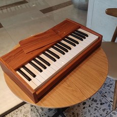 독일 RICZAC 미니 피아노 오르간 선물 장난감 전자, 1개, D. 37키 갈색 건전지 데스크탑 모델