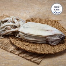 반건조오징어 10마리 원양산 피데기 중부시장 소 중 대, 1개, 중자 10미 1.0kg 내외