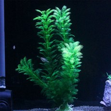 행운몰 수족관 인조수초 구피은신처 3p세트 30cm 구피치어은신처인조수초