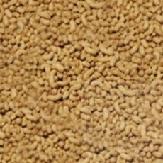 꼼블리마켓 골드피쉬금붕어 비단잉어 색상영양사료 100G 관상어사료, 1개