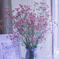 水晶草雲南幹花花束鮮花真花插花裝飾客廳擺件花卉禮物, 紅水晶,一斤（鮮花稱重 晾乾發貨）