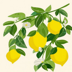 루체트리 유화그리기 DIY 그림그리기 세트 유화페인팅 40x50 레몬 나무 하모니아트 캔버스