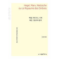 헤겔 마르크스 니체 혹은 그림자의 왕국 (큰글자책), 헤겔, 마르크스, 니체 혹은 그림자의 왕국(큰글자책), 앙리 르페브르(저) / 신승원(역), 지식을만드는지식, 앙리 르페브르 저/신승원 역