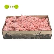 분재 거실 액세서리 인조식물 조화조경 식물가랜드, 라이트크 디어스프루스